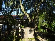 Ђ낳̈㉤iRtj̓eʐ^1