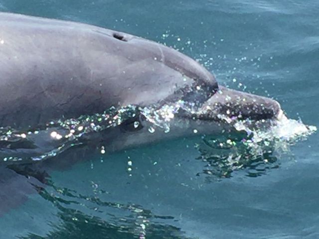 Dׂ̗ŉjłCJB_쓇CJEHb`O