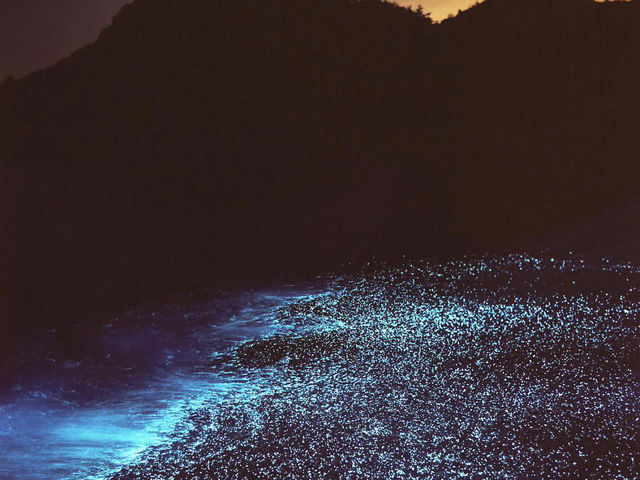 soräCmLO Lv̓eʐ^4