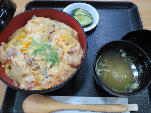 ����n�{�e�q��_���̉w �����̂� ���E��̑呾�ۂ̗�