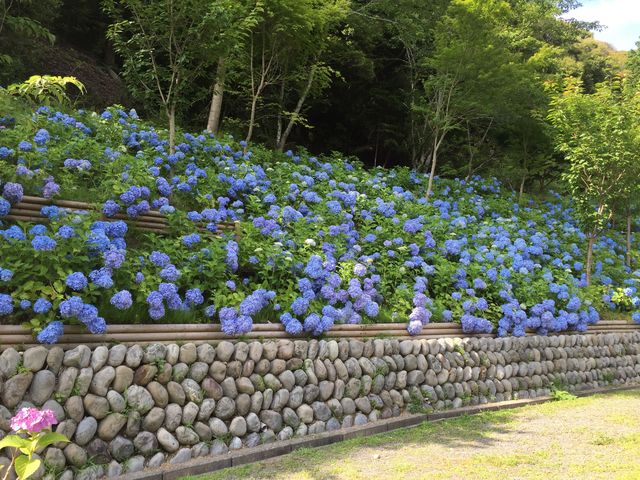 法多山尊永寺】アクセス・営業時間・料金情報 - じゃらんnet