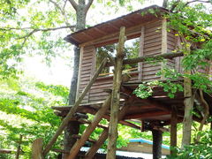 ۂ̃t@[}[Yq(ނ)ւ̓eʐ^1