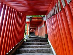 トクサンさんの太皷谷稲成神社の投稿写真3