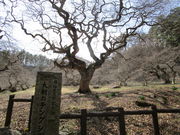 ҂̑咩̃eOVfQ̓eʐ^3