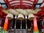 gNT̑ꉒJ_Ђ̓eʐ^5