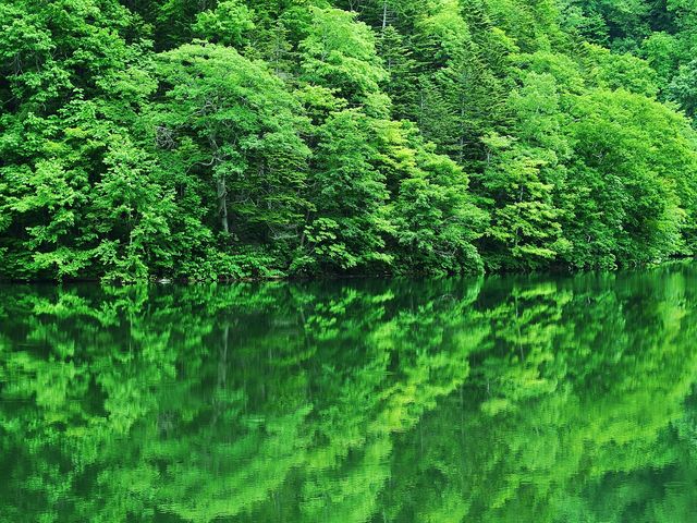 �V���̔�����_������