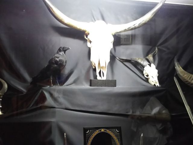 �����p�Ŏg���Ă�{���̍Ւd��‼�������I�I(�K���K�m)�m_�ߐ{���]�[�g�V���b�s���O�p�[�N�U�U�Pst.