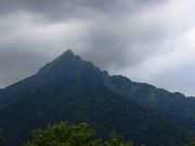 goninngumi̐ΒȃXJCCW]̓eʐ^1