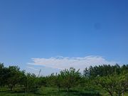 ܂Ȃ܂Ȃׂ̂̗̓eʐ^1