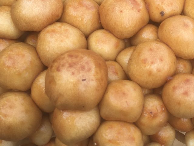 �Ȃ߂����̂Ȃ߂�_�ʎ��̗��@���c�_��