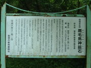 Ԃ񂳂̎єn_Đ΁iwj̓eʐ^1