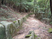 Ԃ񂳂̎єn_Đ΁iwj̓eʐ^3