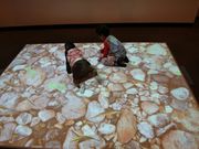 �V�Q���`����̊򕌎s�Ȋw�ق̓��e�ʐ^1