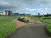 Ԃ񂳂̉쒆̓̃RXX̓eʐ^1