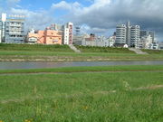 Ԃ񂳂̉쒆̓̃RXX̓eʐ^2