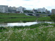 Ԃ񂳂̉쒆̓̃RXX̓eʐ^3