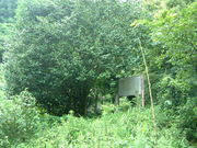 Ԃ񂳂̖@ԕِΑsk̓eʐ^1