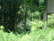 Ԃ񂳂̖@ԕِΑsk̓eʐ^2