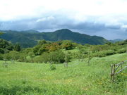 Ԃ񂳂̔؎RԖ؉iђˎsj̓eʐ^4