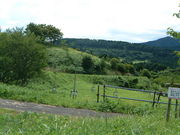 Ԃ񂳂̔؎RԖ؉iђˎsj̓eʐ^5