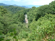 Ԃ񂳂̔؎R̃TN̓eʐ^3