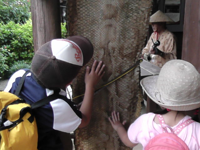 �j�V�L�w�r�̔�ɋ���_�����Ȃ탏�[���h