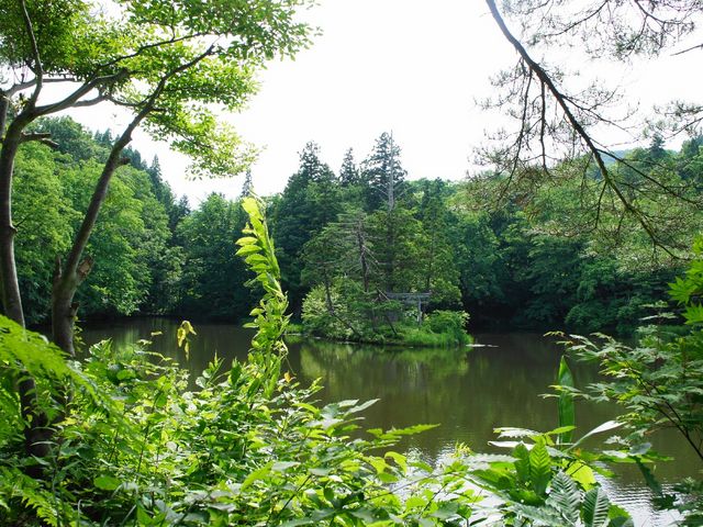 �����ɒ������B_�������