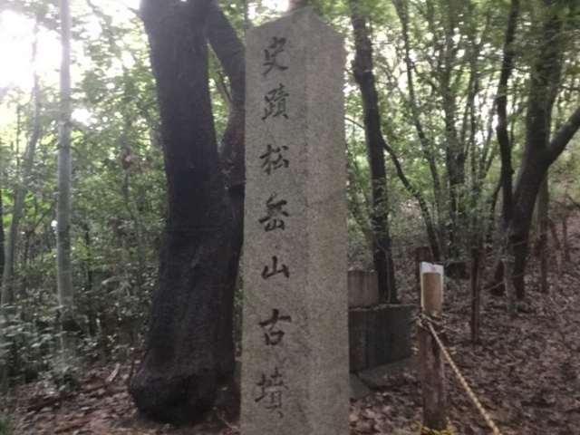 ���x�R�Õ��z�i�܂�����܂��ӂ�j�E���{�����s_���x�R�Õ�