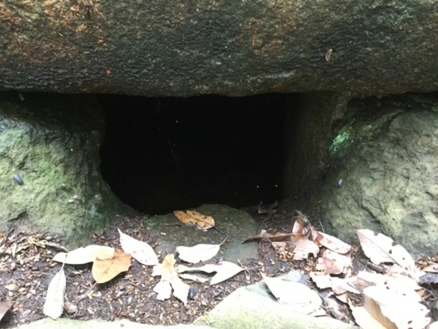 ���x�R�Õ��z�i�܂�����܂��ӂ�j�E���{�����s_���x�R�Õ�