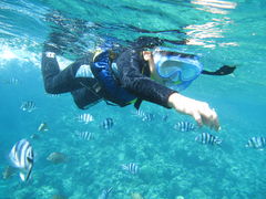 ܂񂳂̖` ꑍAEghAcA[Xւ̓eʐ^1