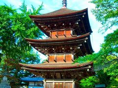 きのこさんの前山寺三重塔への投稿写真1