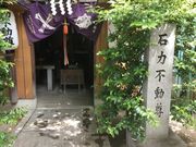 Sakamoto119̔c_Ђ̓eʐ^7