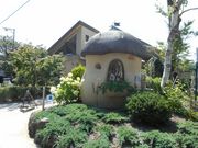 Ђ낳̈ɓ[YeX̓eʐ^1