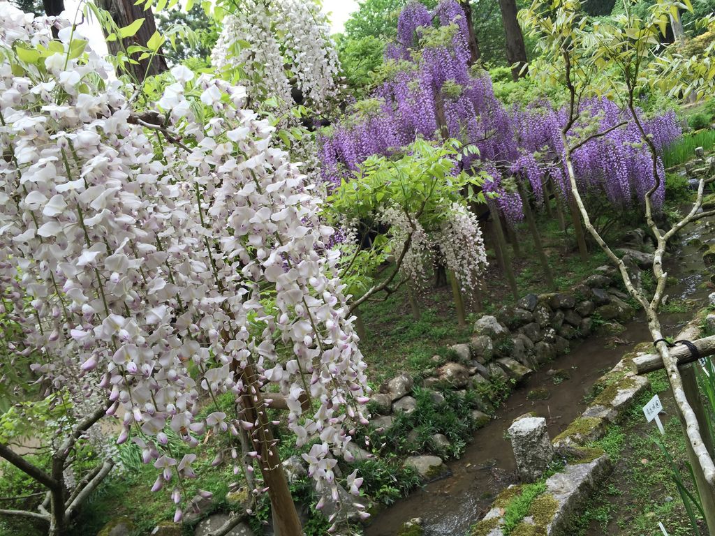 関西の動物園 植物園ランキングtop10 じゃらんnet