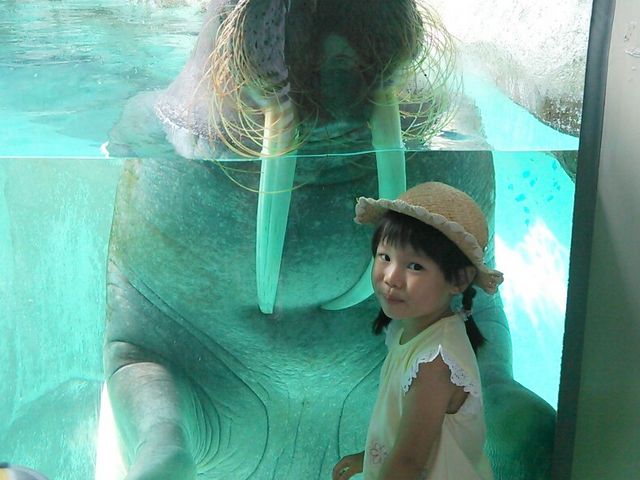 �Z�C�E�`����ƁB�|�[�Y���Ă���܂���B_��m���r�[�`�����h&��m���������ቤ��