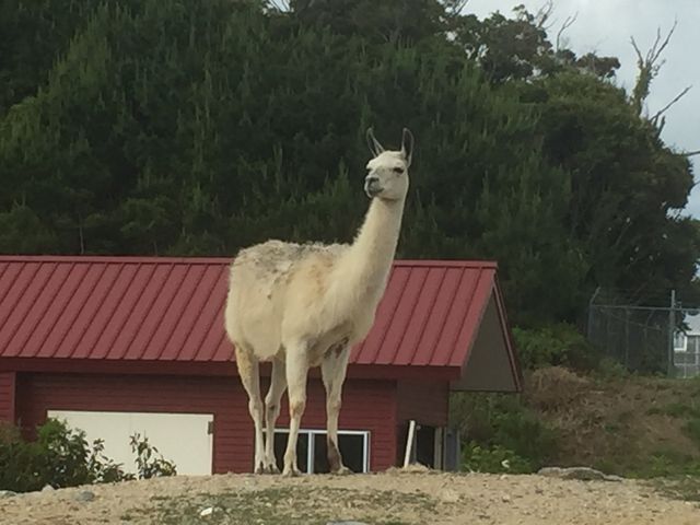 �~���o�P�b�\�H_�l�I�p�[�N�I�L�i��