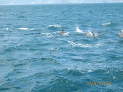 ܂̓쓇CJEHb`Oւ̓eʐ^1