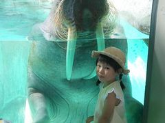 GOGO̓mr[`h&mቤւ̓eʐ^1