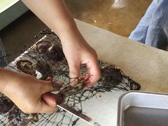 񂳂̐^H[@^̗ւ̓eʐ^1