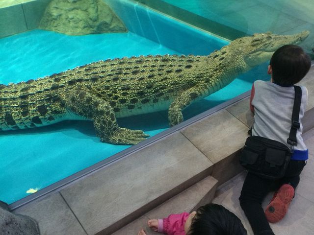 NIFREL�i�j�t�����j