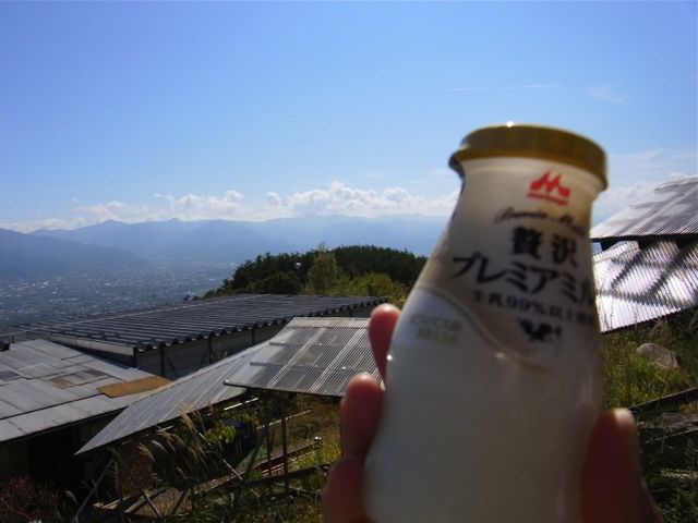 ���C������̈�t�I_�ق����炩������