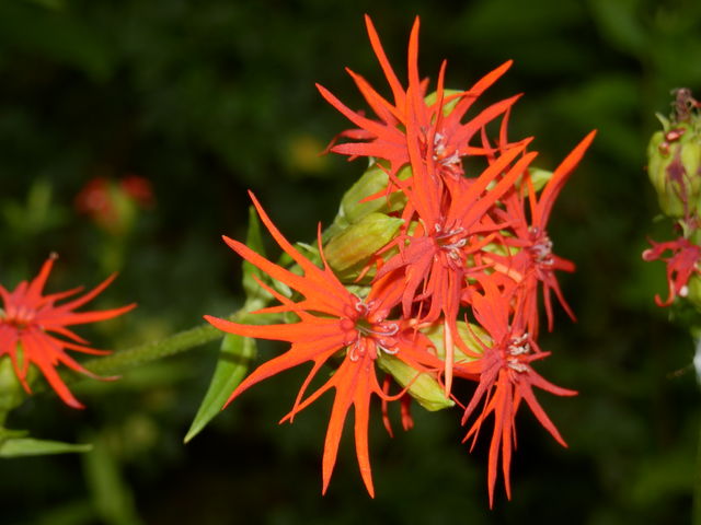 ���킢���ԁX����������_���������ԉ�