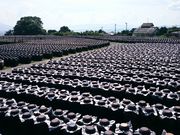 ΂̎Ԃ̍|K[f┨ SHOPRESTAURANT̓eʐ^2