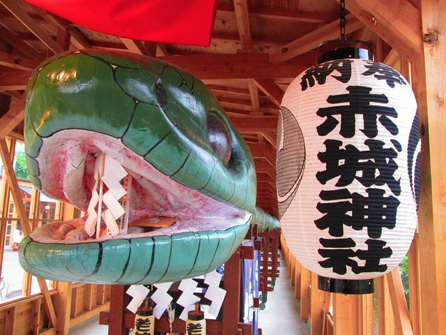 ��ւ��W�����Ă���܂����B
�֔N�̍Ղ�ŏo������悤�ł��B_�V�_����