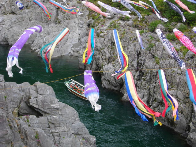 �����̂ڂ�̉���i��_����달�ό��V���D