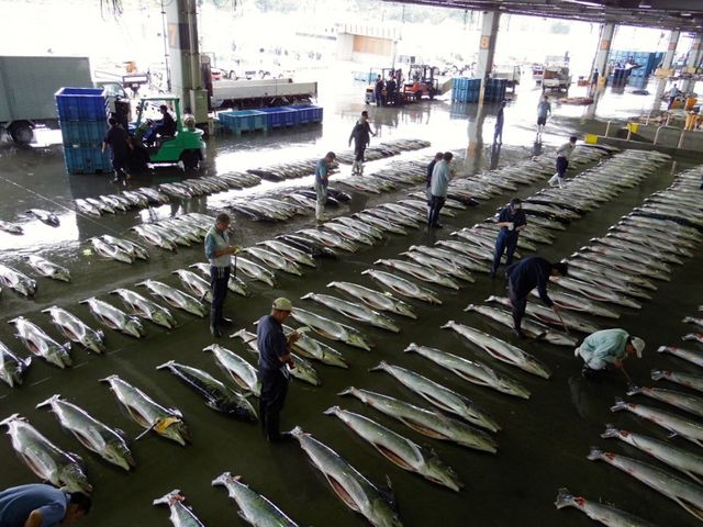 ���������I_�C����s���s��