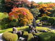 のりまきアラレさんの頼久寺庭園の投稿写真2