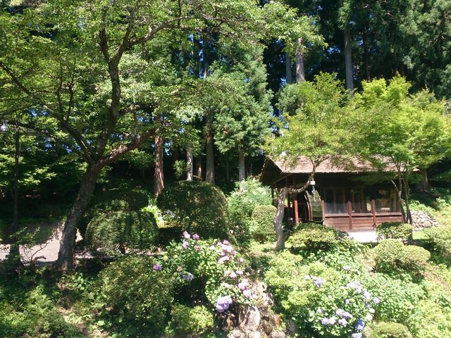 山の中。_大沢温泉