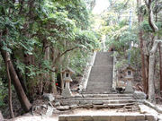 �䂸���҂���̐瑁��Ղ̓��e�ʐ^3