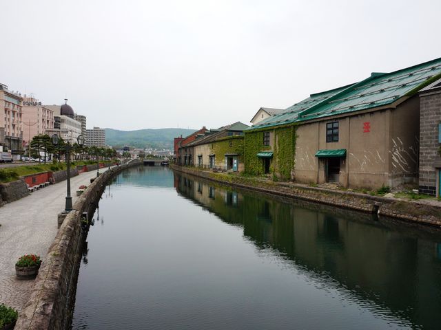 ���M�^��_���M�^��